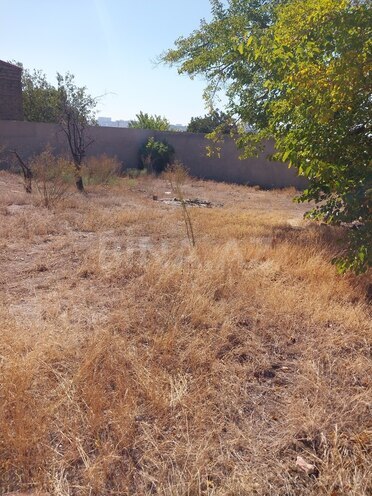 5 otaqlı həyət evi/bağ evi - Əmircan q. - 250 m² (14)