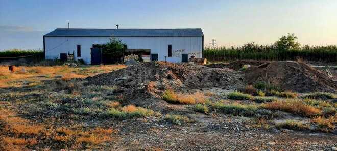 Obyekt - Goranboy - 10000 m² (2)