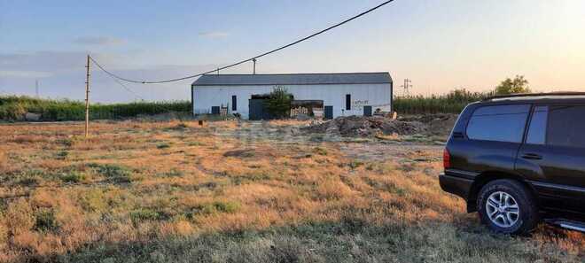 Obyekt - Goranboy - 10000 m² (1)