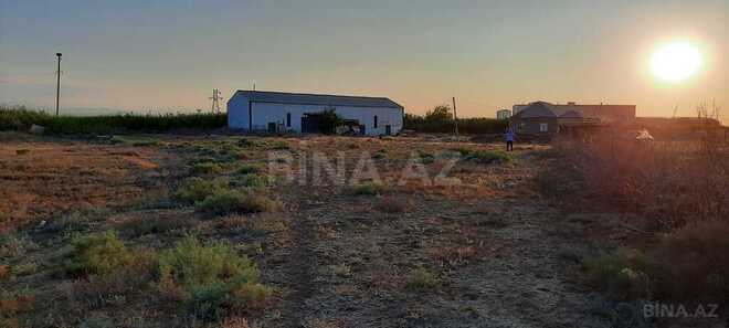 Obyekt - Goranboy - 10000 m² (7)