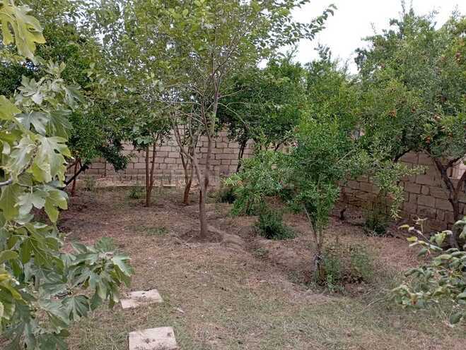 Продаётся  объект 351 м², пос. Гобустан, photo 12 from 13