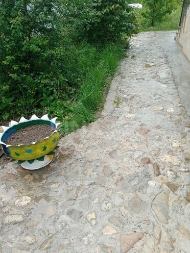 3 otaqlı həyət evi/bağ evi - Quba - 120 m² (8)
