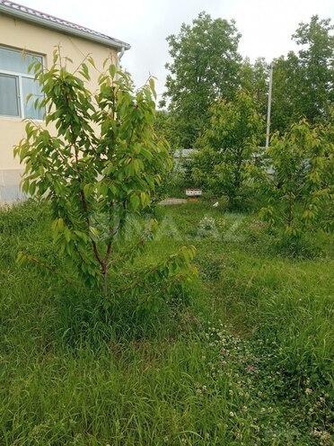 3 otaqlı həyət evi/bağ evi - Quba - 120 m² (5)