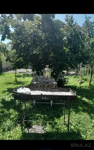 2 otaqlı həyət evi/bağ evi - Qax - 70 m² (12)