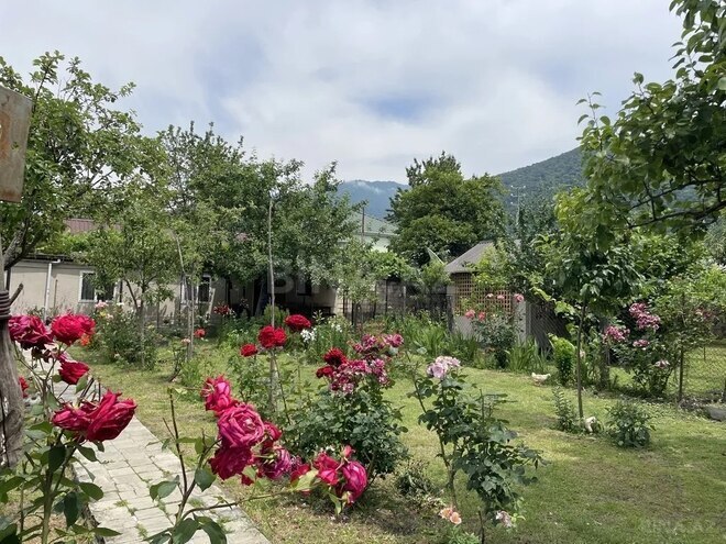 2 otaqlı həyət evi/bağ evi - Qax - 70 m² (14)