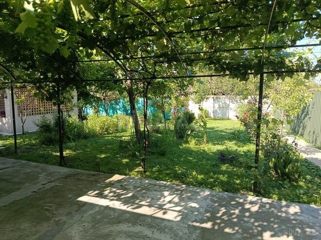 2 otaqlı həyət evi/bağ evi - Qax - 70 m² (11)