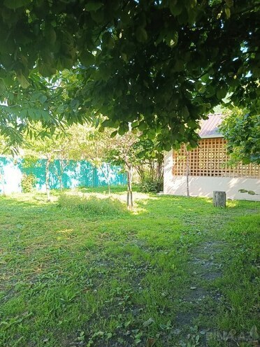 2 otaqlı həyət evi/bağ evi - Qax - 70 m² (9)