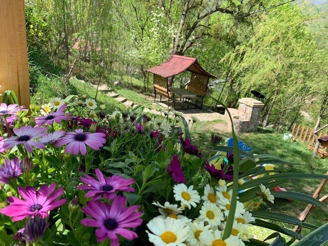 3-комн. дом/дача - Губа - 120 м² (24)