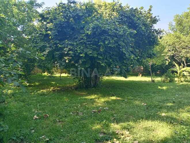 3 otaqlı həyət evi/bağ evi - Qəbələ - 180 m² (10)