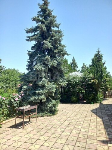 4 otaqlı həyət evi/bağ evi - Quba - 211 m² (20)