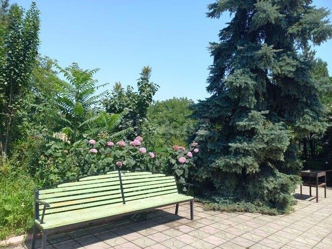 4 otaqlı həyət evi/bağ evi - Quba - 211 m² (23)