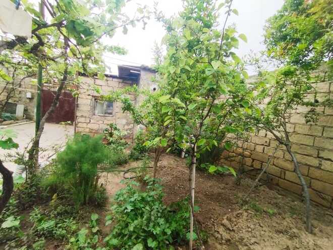 5 otaqlı həyət evi/bağ evi - Sumqayıt - 120 m² (20)
