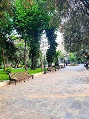 1 otaqlı yeni tikili - Nizami m. - 32 m² (16)