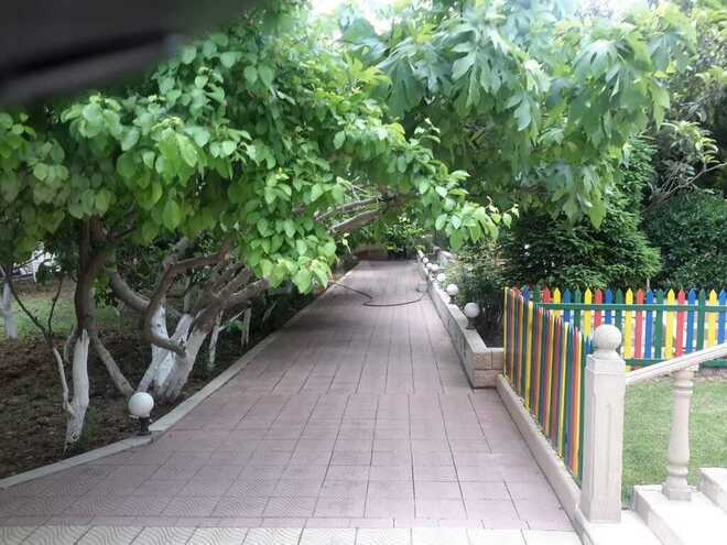 4 otaqlı həyət evi/bağ evi - Novxanı q. - 450 m² (14)