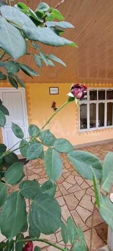 2-комн. дом/дача - Гусар - 60 м² (22)