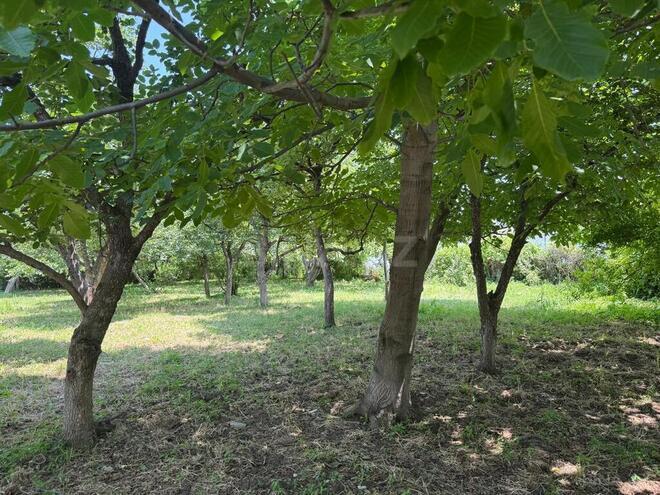 3 otaqlı həyət evi/bağ evi - Gəncə - 58.8 m² (9)