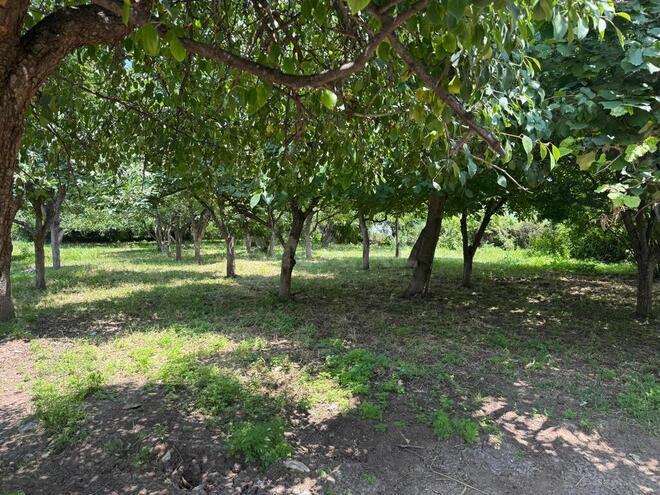3 otaqlı həyət evi/bağ evi - Gəncə - 58.8 m² (10)