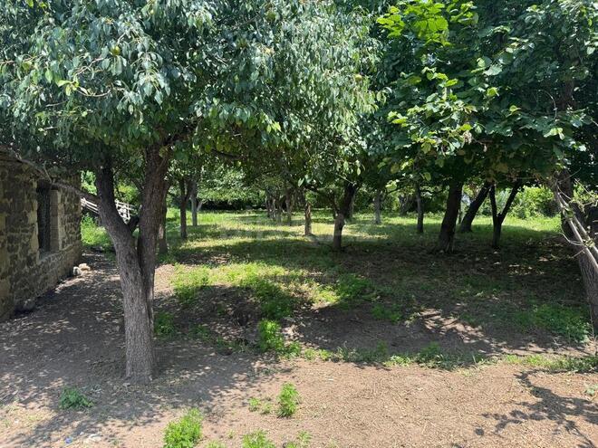 3 otaqlı həyət evi/bağ evi - Gəncə - 58.8 m² (8)