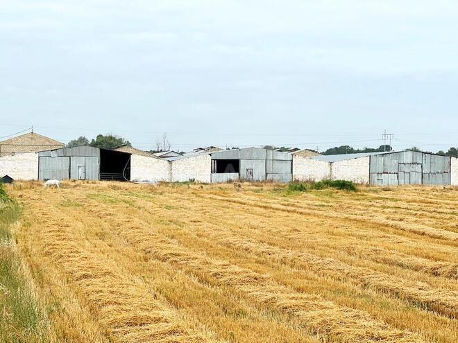 Obyekt - Xaçmaz - 2000 m² (1)