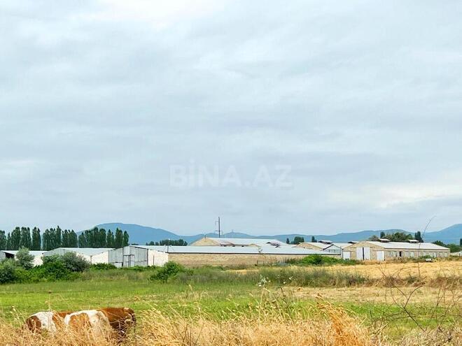 Obyekt - Xaçmaz - 2000 m² (3)