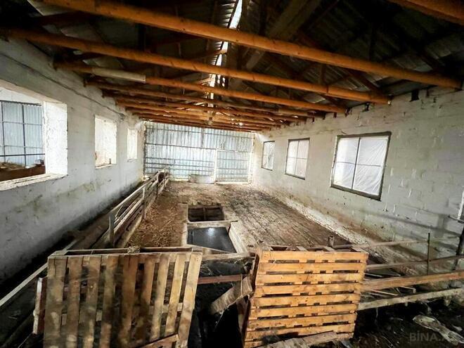 Obyekt - Xaçmaz - 2000 m² (19)