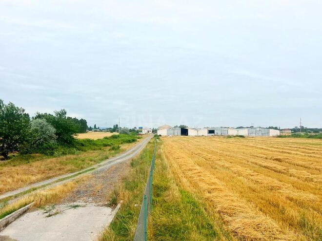 Obyekt - Xaçmaz - 2000 m² (27)