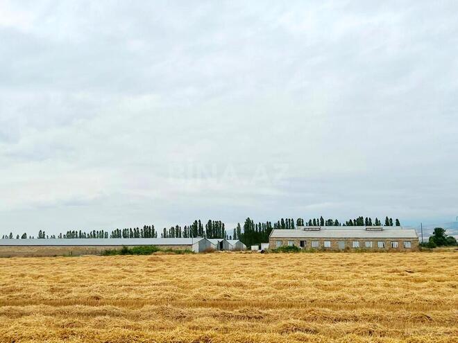 Obyekt - Xaçmaz - 2000 m² (8)
