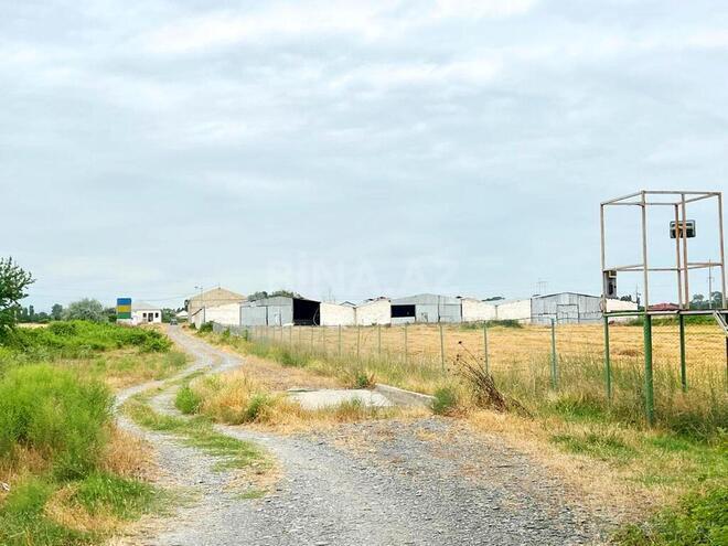 Obyekt - Xaçmaz - 2000 m² (6)