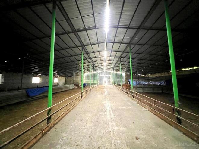 Obyekt - Xaçmaz - 2000 m² (20)
