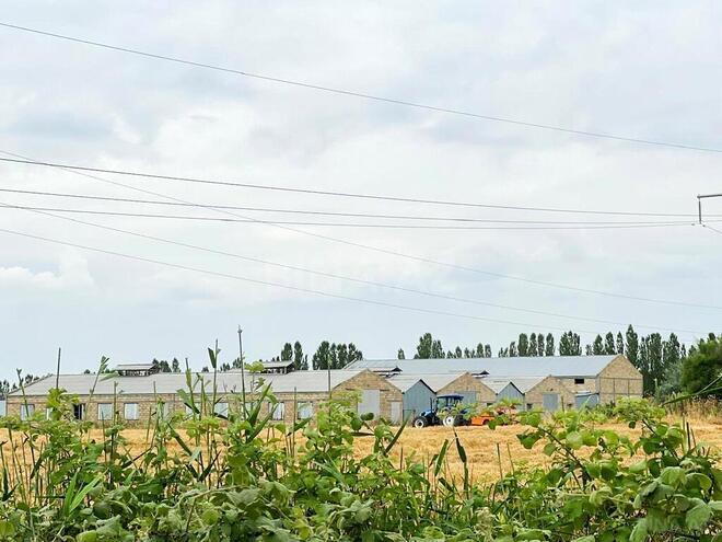 Obyekt - Xaçmaz - 2000 m² (4)