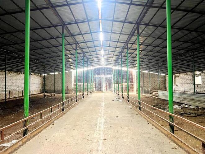 Obyekt - Xaçmaz - 2000 m² (21)