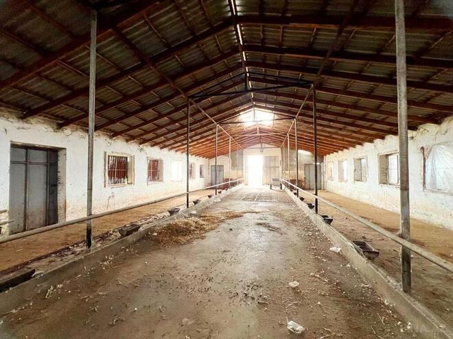 Obyekt - Xaçmaz - 2000 m² (17)