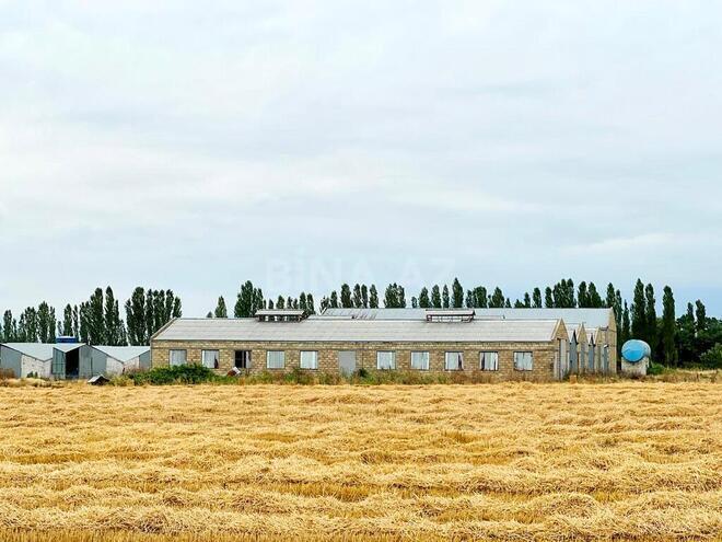 Obyekt - Xaçmaz - 2000 m² (9)
