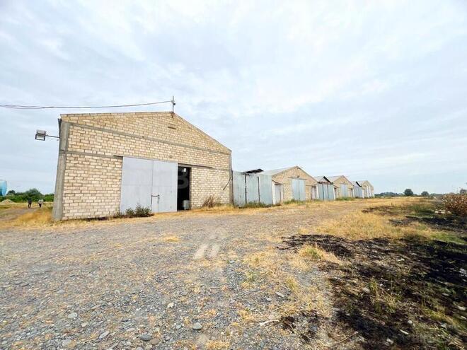 Obyekt - Xaçmaz - 2000 m² (5)
