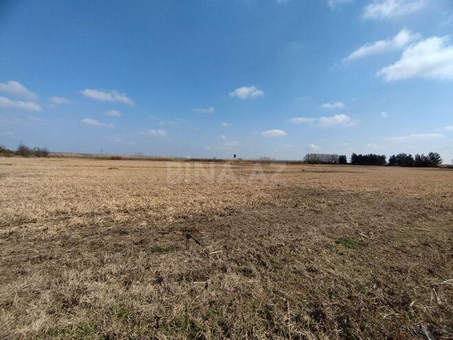 Obyekt - İmişli - 1000 m² (14)