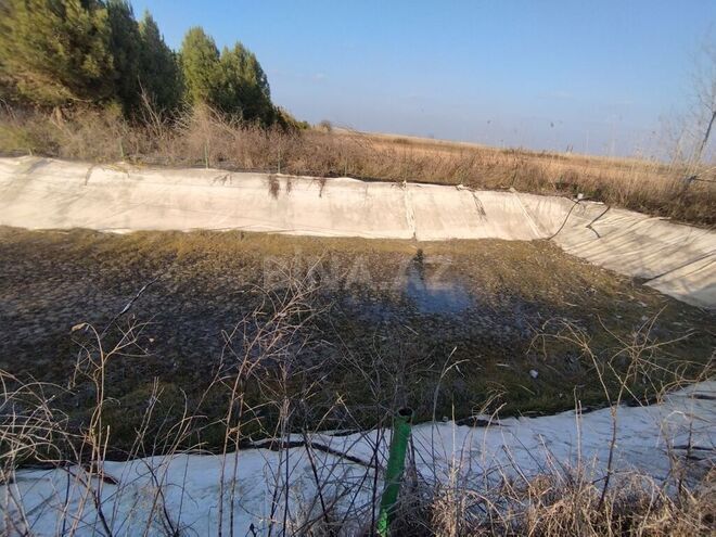 Obyekt - İmişli - 1000 m² (10)