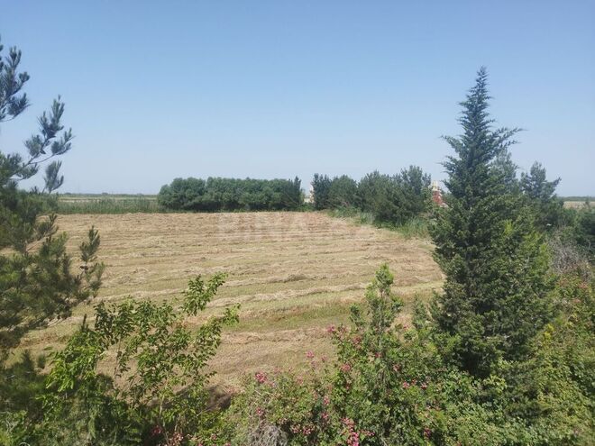 Obyekt - İmişli - 1000 m² (26)