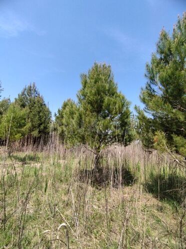 Obyekt - İmişli - 1000 m² (17)