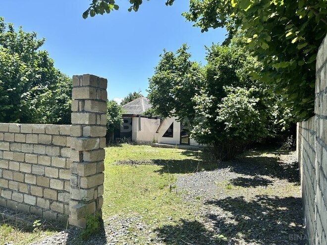 3 otaqlı həyət evi/bağ evi - Qəbələ - 42 m² (7)