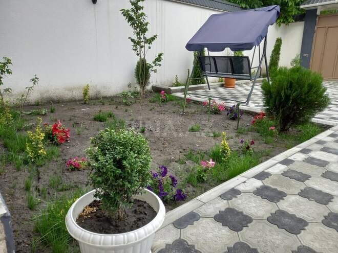5 otaqlı həyət evi/bağ evi - Qəbələ - 180 m² (4)