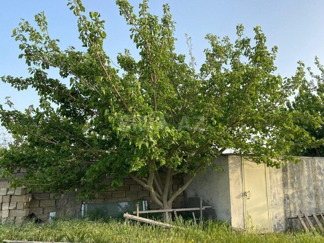 3 otaqlı həyət evi/bağ evi - Nardaran q. - 82.6 m² (12)