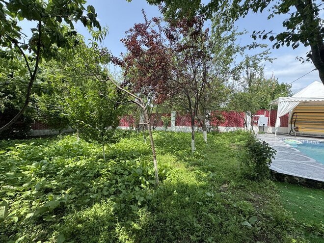 3 otaqlı həyət evi/bağ evi - Qəbələ - 80 m² (13)
