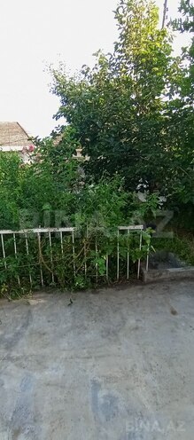 4 otaqlı həyət evi/bağ evi - Şəki - 80 m² (10)