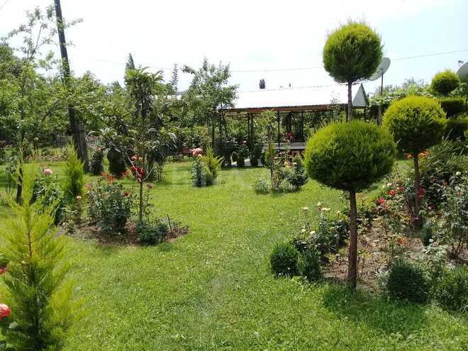 4 otaqlı həyət evi/bağ evi - Qax - 120 m² (12)