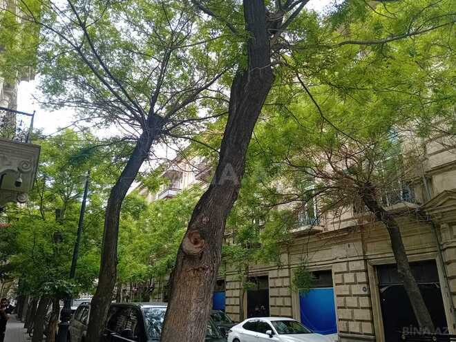 Obyekt - Sahil m. - 65 m² (3)