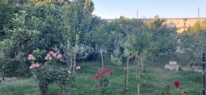 3-комн. дом/дача - пос. Забрат - 100 м² (25)