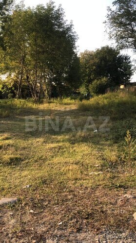 Участок - Габала - 5 сот (2)