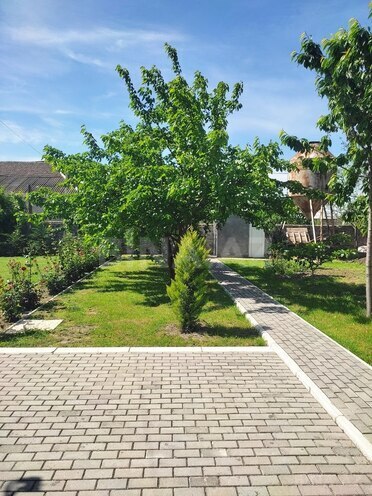 5-комн. дом/дача - Шеки - 200 м² (24)