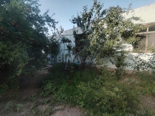 4 otaqlı həyət evi/bağ evi - Maştağa q. - 100 m² (4)