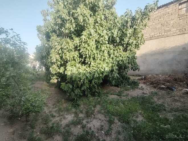 4 otaqlı həyət evi/bağ evi - Maştağa q. - 100 m² (10)